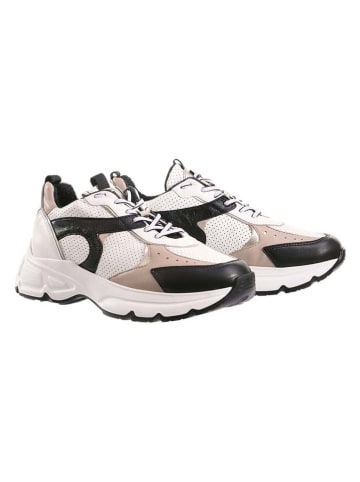 Högl Leder-Sneakers "Faith" in Weiß/ Schwarz/ Beige