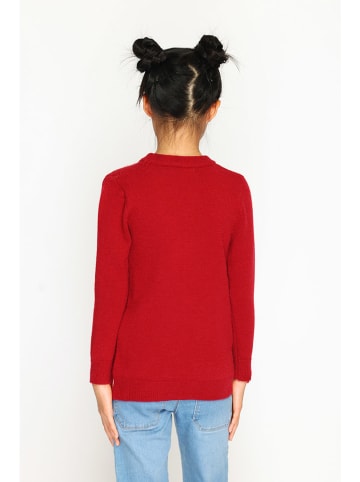 ASSUILI Trui rood