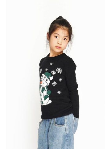 ASSUILI Pullover in Schwarz