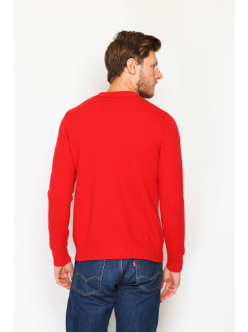 ASSUILI Trui rood
