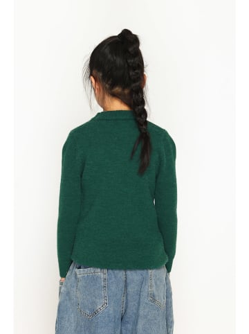 ASSUILI Pullover in Grün