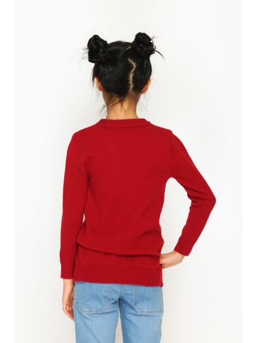 ASSUILI Trui rood