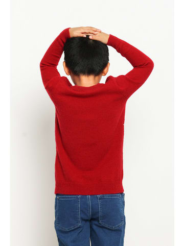 ASSUILI Pullover in Rot