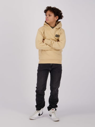 RAIZZED® Hoodie "Nulato" in beige
