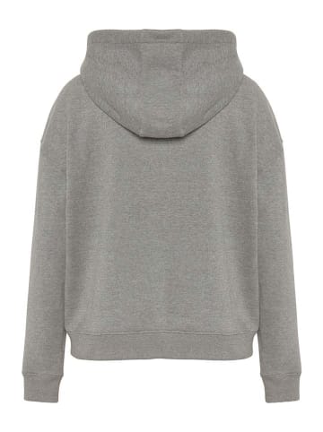 Chiemsee Hoodie grijs