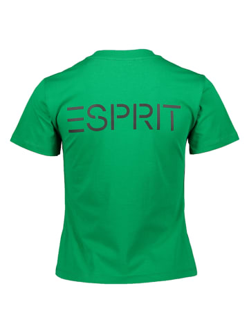 ESPRIT Koszulka w kolorze zielonym