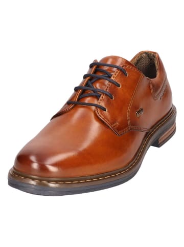 Bugatti Schnürschuhe in Hellbraun