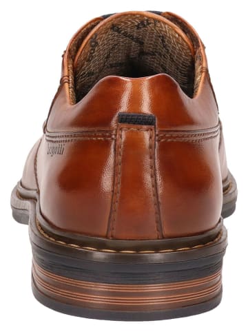 Bugatti Schnürschuhe in Hellbraun