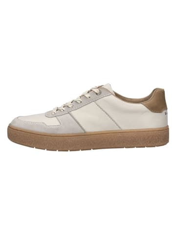 Bugatti Leder-Sneakers in Creme
