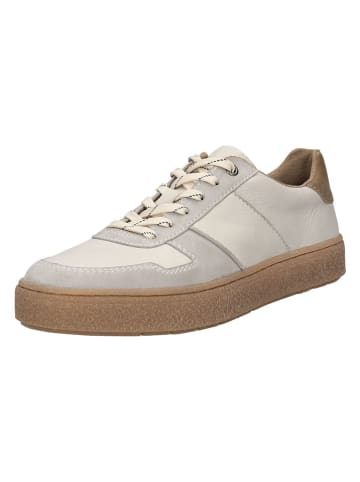 Bugatti Leder-Sneakers in Creme
