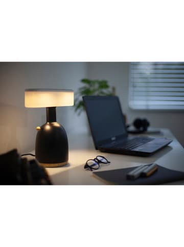 Designnest Ledtafellamp ''Dina Coin Lamp'' zwart - (B)23 x (H)27 x (D)12 cm