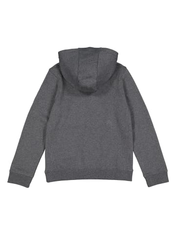 Nike Hoodie "Park" grijs