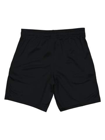 Nike Trainingsshorts "Dri-FIT Park Big" in Schwarz
