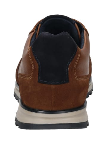 Bugatti Leder-Sneakers in Braun