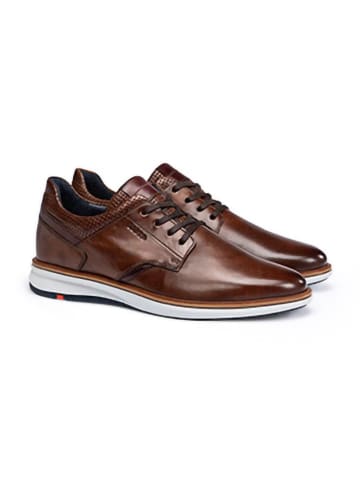 LLOYD Leren sneakers "Kayor" bruin