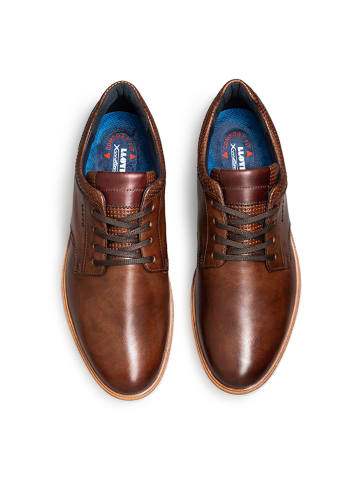 LLOYD Leren sneakers "Kayor" bruin