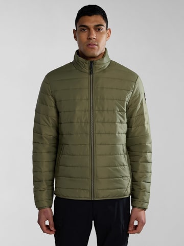 Napapijri Steppjacke "Acalmar" in Khaki