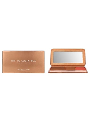 ANASTASIA BEVERLY HILLS Contourpalet "Off To Costa Rica", 17,6 g