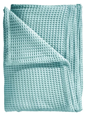 HNL Plaid in Mint