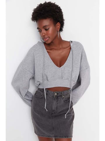 trendyol Hoodie in Grau