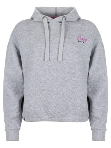 Roadsign Hoodie grijs
