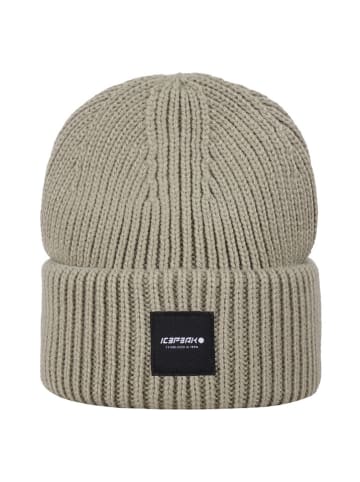 Icepeak Beanie in Khaki