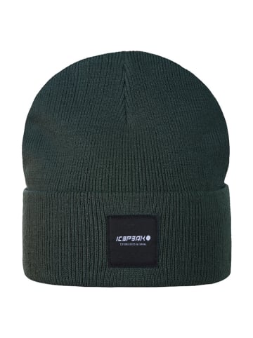 Icepeak Beanie in Grün