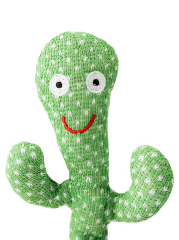 InnovaGoods Interactieve cactus grijs/groen - vanaf 6 maanden