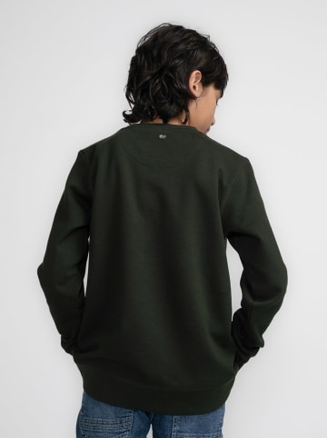Petrol Industries Sweatshirt in Grün