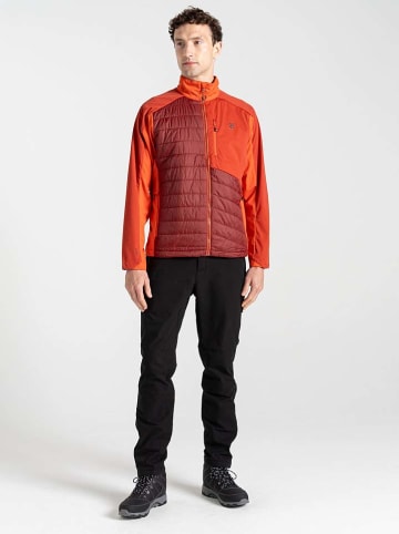 Dare 2b Hybride jas "Mountaineer" oranje
