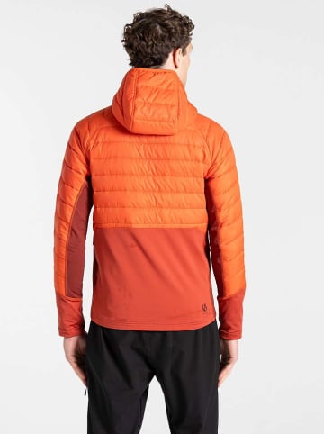 Dare 2b Hybridjacke "Descending" in Orange