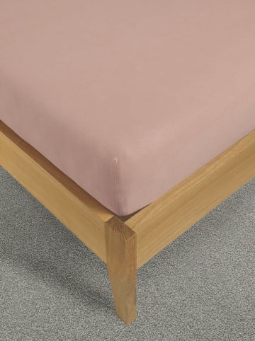 ESPRIT Jersey-Spannbettlaken in Creme