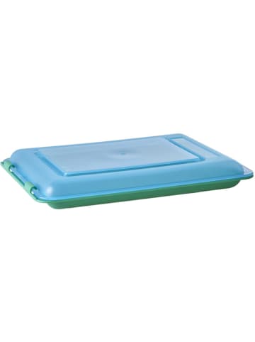 Rice Vershouddoos groen/lichtblauw - 470 ml