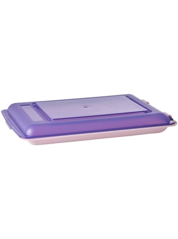 Rice Frischhaltedose in Rosa/ Lila - 470 ml