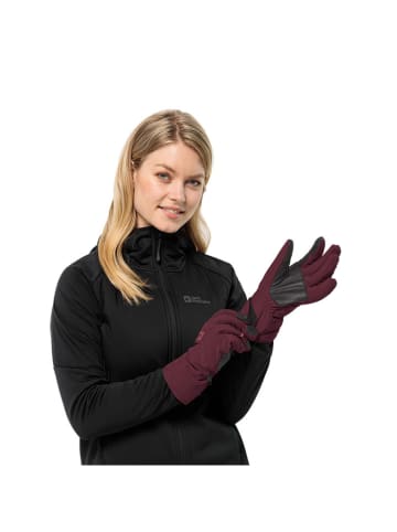 Jack Wolfskin Functionele handschoenen "Alpspitze Merino" rood