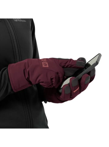 Jack Wolfskin Functionele handschoenen "Alpspitze Merino" rood