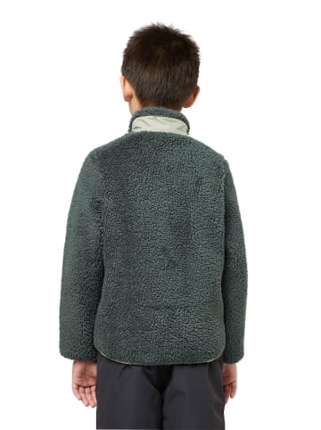 Jack Wolfskin Fleece vest "Ice Curl" groen