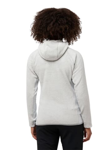 Jack Wolfskin Fleecejacke "Rotwand" in Grau