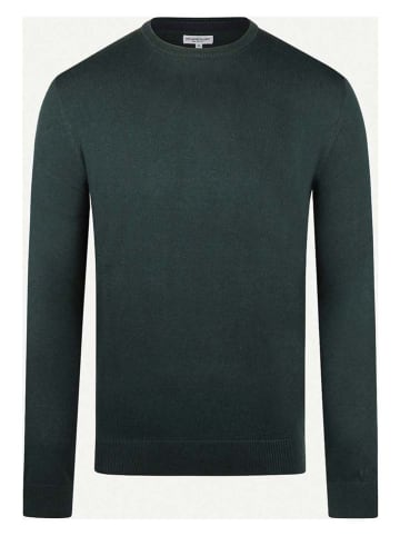 McGregor Pullover in Dunkelgrün