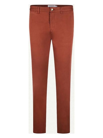 McGregor Chinobroek roodbruin