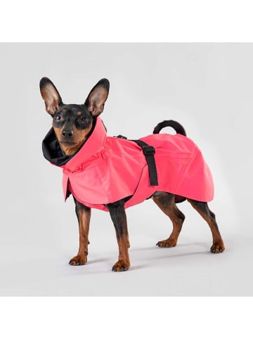 Paikka Visibility-hondenregenjas roze