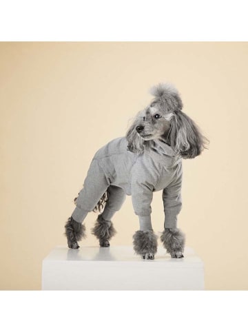 Paikka Recovery-Hundeoverall in Grau