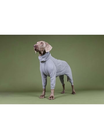 Paikka Recovery-Hundeoverall in Grau