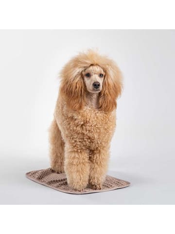 Paikka Badhanddoek voor honden lichtbruin