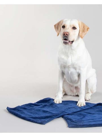 Paikka Hunde-Badetuch in Blau