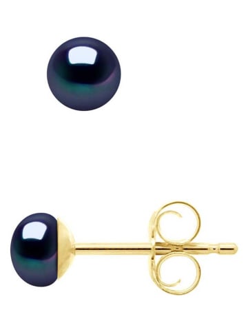 Pearl Addict Parel-oorstekers tahitikleurig