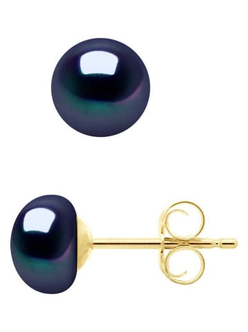 Pearl Addict Parel-oorstekers tahitikleurig