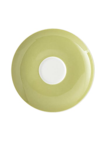 Thomas Espresso-Untertasse in Grün/ Weiß - Ø 12 cm