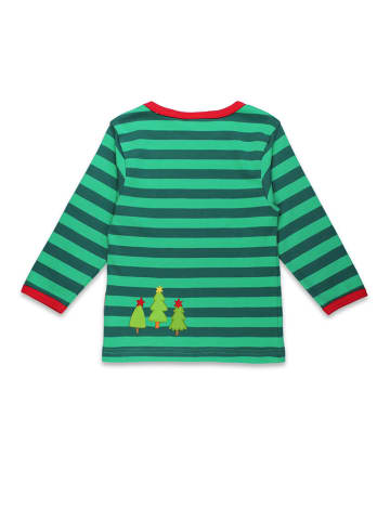 Toby Tiger Longsleeve in Grün/ Hellbraun