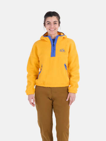 Marmot Fleecepullover in Gelb
